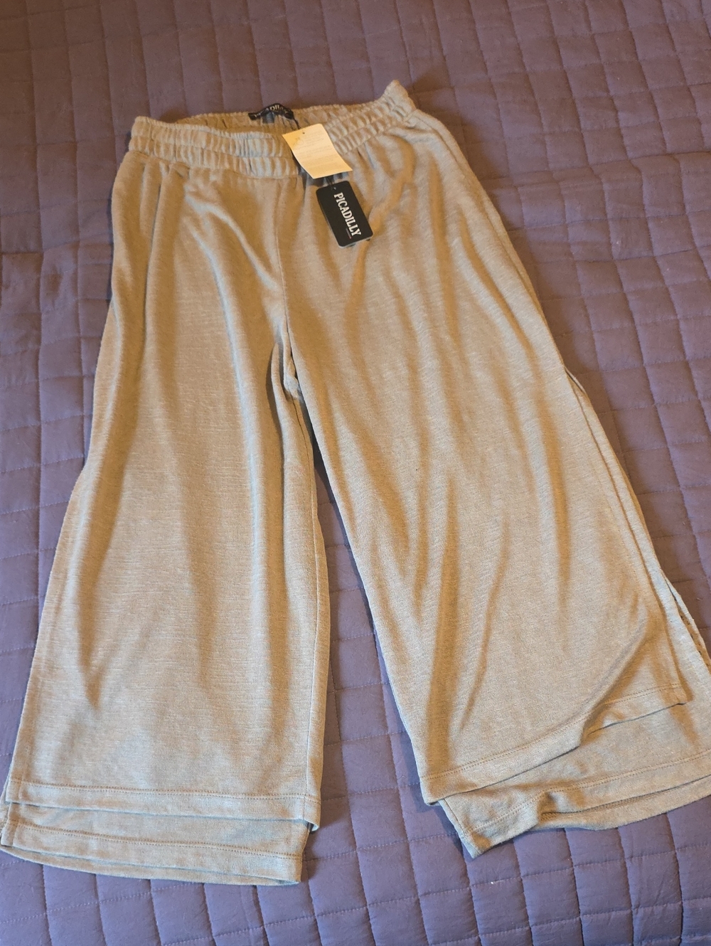 Picadilly Fashion Wide Leg Pants in Volcanic Beige